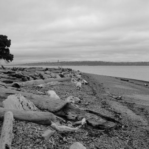 Cayce Grove Law Offices handles Real Estate law - Blake Island Driftwood