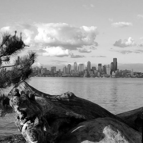 Cayce Grove Law Offices - Elliot Bay looking into Seattle